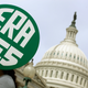 Illustration for article titled Virginia Is the Latest Chapter in the Nearly 50-Year Saga of the Equal Rights Amendment